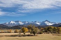 Herfstkleuren in the Rockies