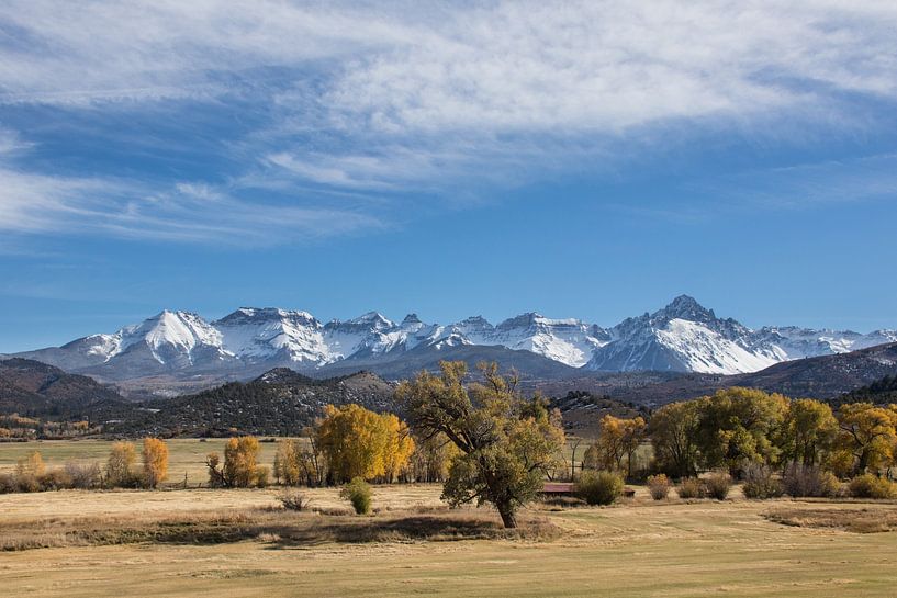 Herfstkleuren in the Rockies van Jan-Thijs Menger