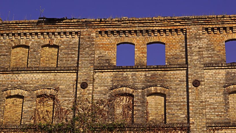 Ruine des Speichers des Mühlenkomplexes Böllberg in Halle in Deutschland von Babetts Bildergalerie