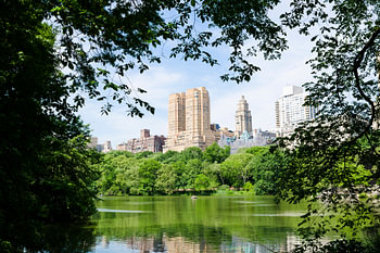 Central Park // New York, USA