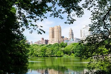 Central Park // New York, USA van PHOTORIK