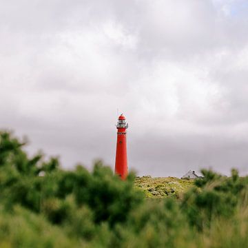 Schiermonnikoog - De rode vuurtoren (1) van Dan Photo Shaman