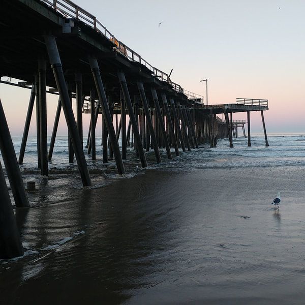 De pier by Michael van Eijk