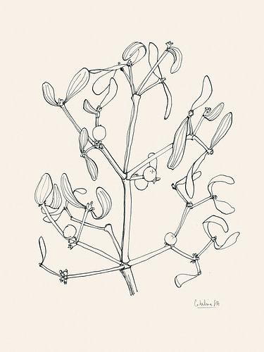 Kerstmis: Mistletoe-lijntekening