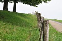 Limburgs landschap
