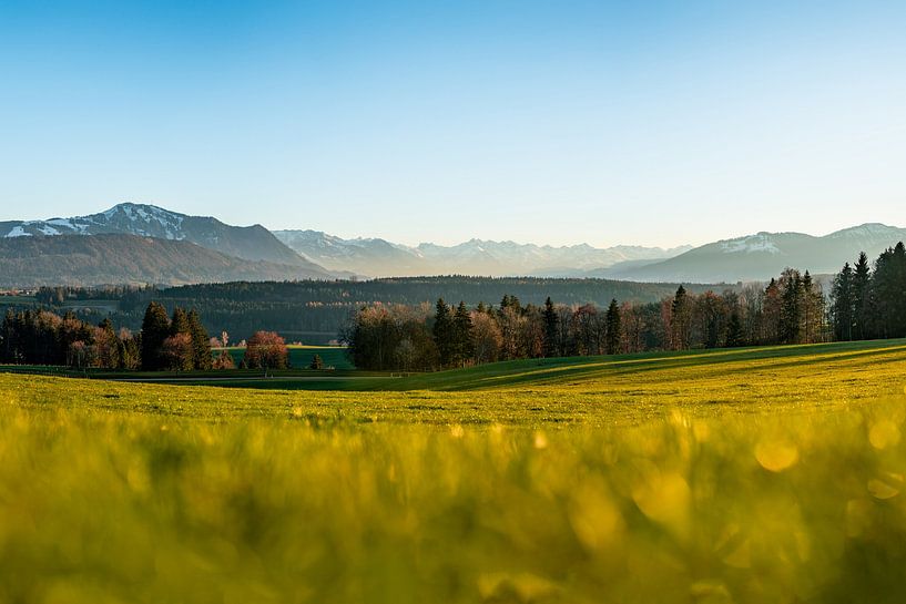 View into Illertal and the Allgäu Alps by Leo Schindzielorz