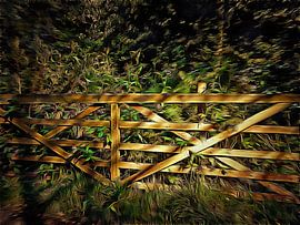 Wooden Gate With Shadows by Dorothy Berry-Lound