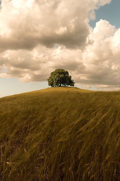 Light at the top by Peter Hendriks