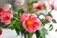 Peonies in a vase, different shades of pink color. van Ans van Heck thumbnail