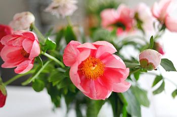 Pink peonies, different shades of color, in a vase.