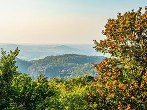Großer Winterberg, Suisse saxonne - Nouvelle paroi de Wenzel
