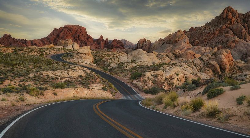 Valley of Fire by Loris Photography