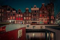 Lebensformen in Amsterdam von Bas Handels Miniaturansicht