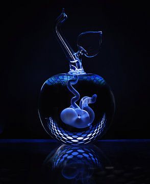 Ongeboren kind in glas van Angelique van Kreij