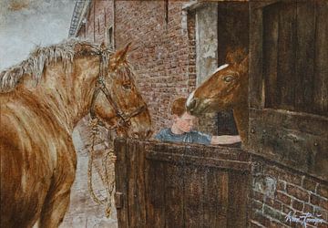 Nachfolge (Bauernhof) von Wim Romijn