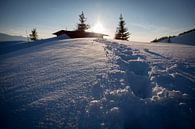 Sporen in de sneeuw van Harry Stahl thumbnail