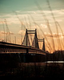 Rhine bridge by Daniel Ritzrow