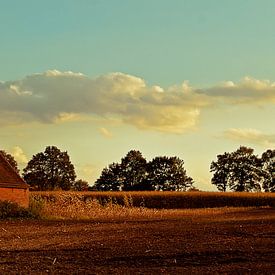 t Boer'nland sur Tessa Wiegerinck