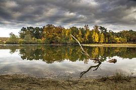 landschap herfstkleuren