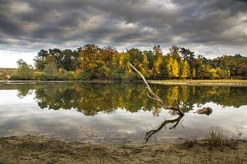landschap herfstkleuren von marco voorwinden