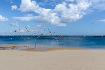 Frühling am Strand