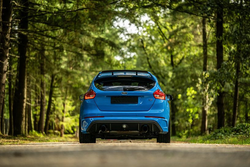 Ford Focus RS in den Wäldern von Bas Fransen