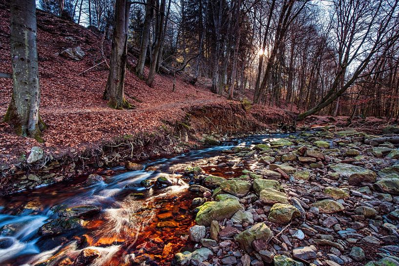 Mountain river La Hoëgne in the Ardennes by Rob Boon