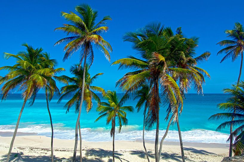 Strand op Barbados in de Caraïben van Corno van den Berg