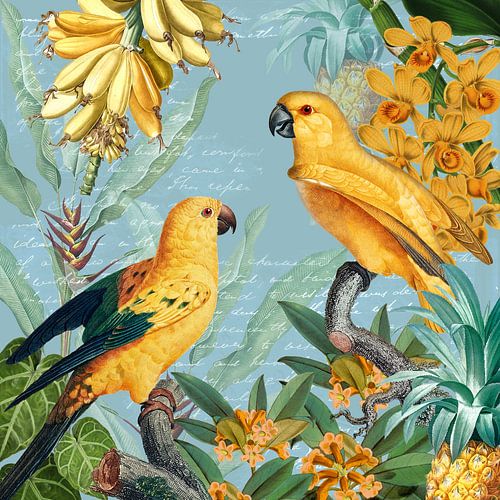 Golden yellow parrots under discussion