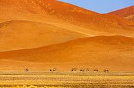 Zandduinen in de Namib woestijn met Oryx antilopen van Chris Stenger thumbnail