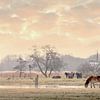 Exmoorpony`s  in de weide 17. van Marcel Kieffer