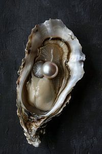 Huître avec une perle scintillante sur fond sombre