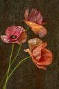Nature morte. Coquelicot. Printemps. par Alie Ekkelenkamp Aperçu
