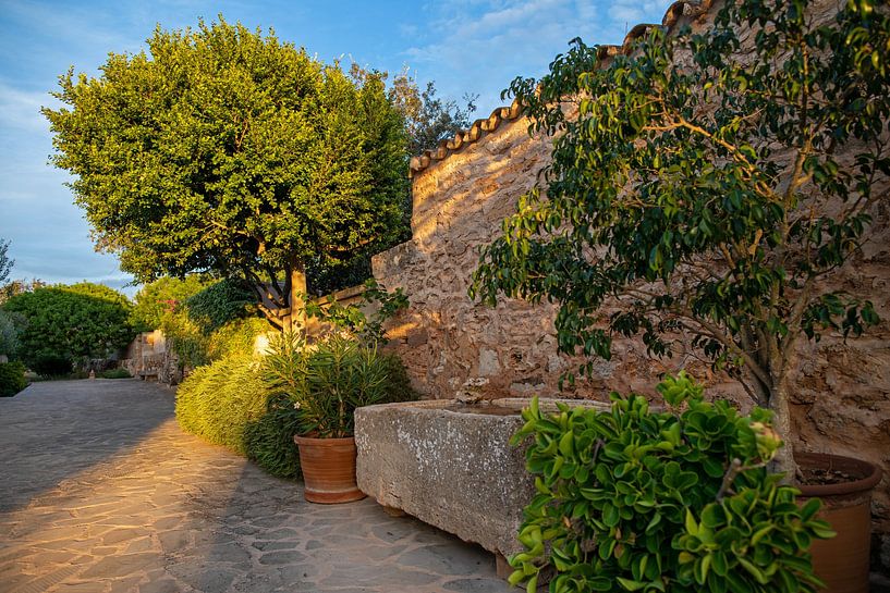 Finca in Mallorca van t.ART