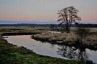 Drentse Aa, Netherlands, Drenthe
