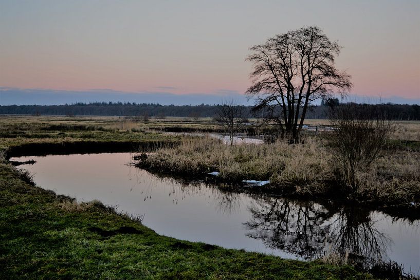 Drentse Aa, Nederland, Drenthe van Bernard van Zwol