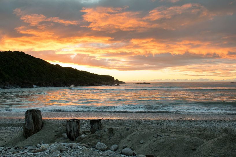 x von Tom in 't Veld