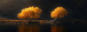 Herbstpanorama
