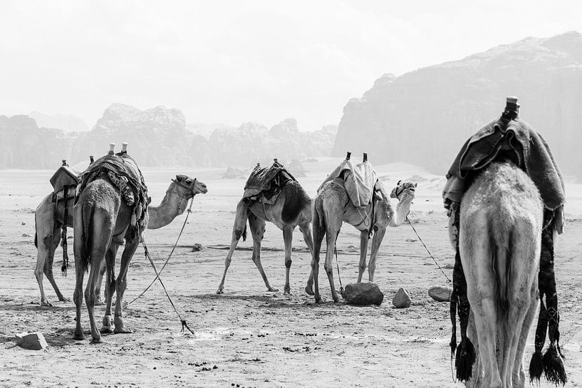 Wadi Rum en noir et blanc, Jordanie par Suzanne Spijkers