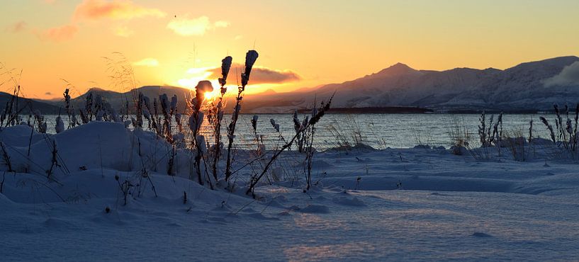 Zon  von Photos by Ilse