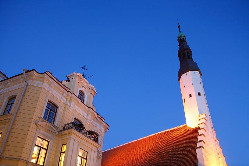 Stadhuis en café, oude stad, Tallinn, Estland van Torsten Krüger