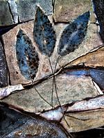 blue leaves