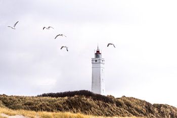Blavand lighthouse, Denmark