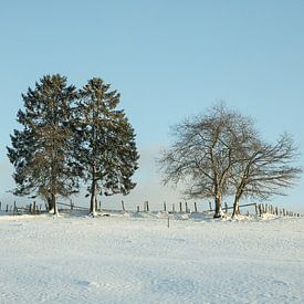 Première neige dans les Ardennes belges sur Marinella Geerts