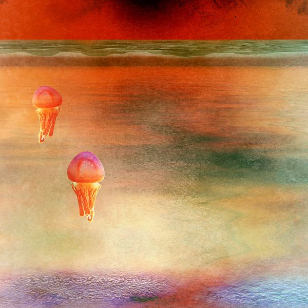 Jellyfish van Bright Designs