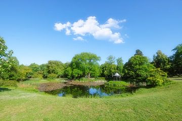 Darmstadt - little pond in the park by pixxelmixx