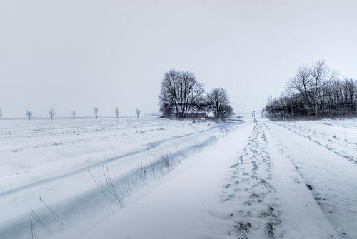Op weg naar het Uilenest