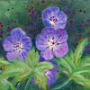 Blauwe Geranium van Maria Meester
