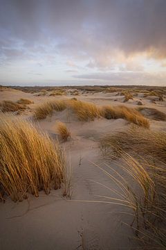 Paysage de dunes sur la côte sur Dirk van Egmond