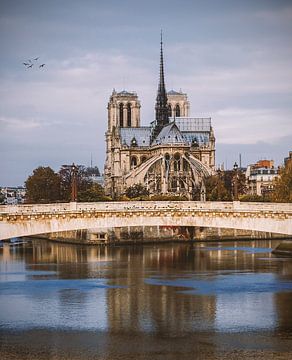 Notre-Dame van Parijs